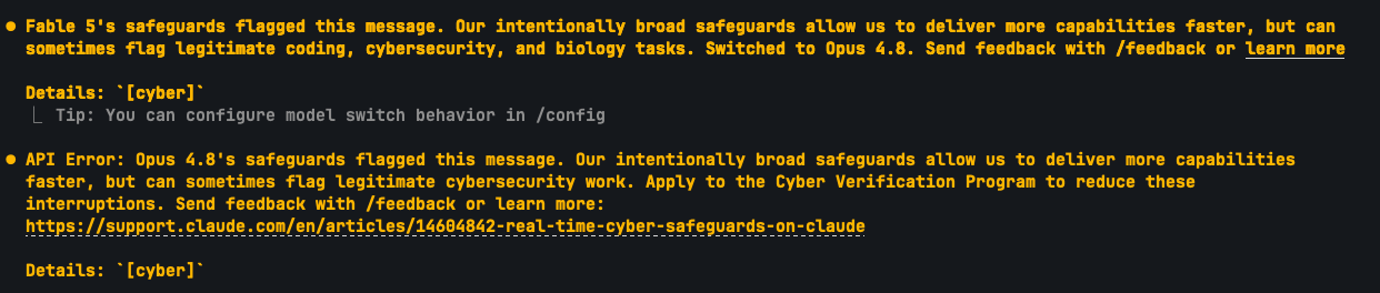 Both safeguard flags in the terminal
